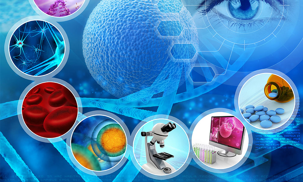 Forskning og lenker : Nevralterapi : PainFree Clinic Sandefjord