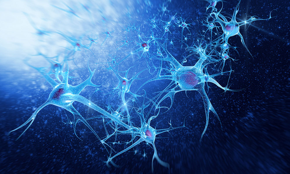 Nevralterapi som smertebehandling : PainFree Clinic Sandefjord